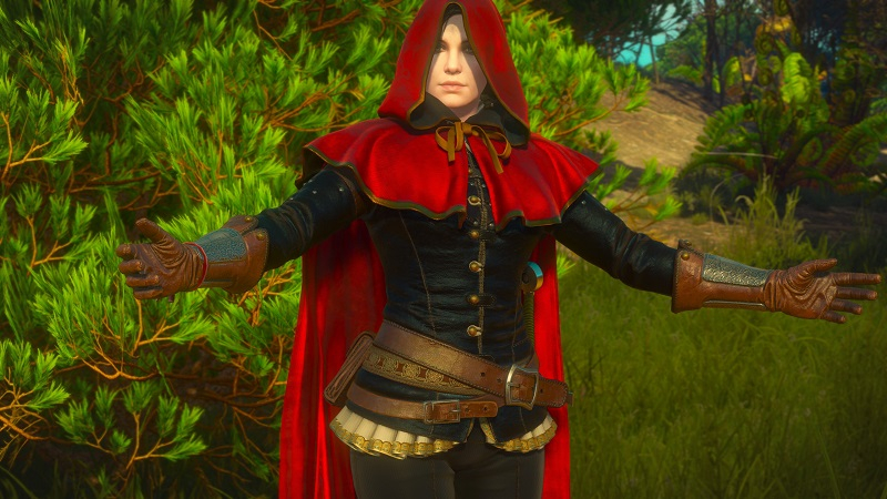Разработчик The Witcher 3: Wild Hunt выпустил для игры мод с альтернативной версией самого красочного квеста из аддона Кровь и вино
